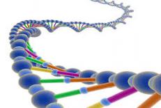 دانلود مقاله  رمز گشایی از DNA امراض ژنیتکی میتوکندر  
