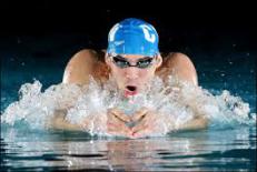 دانلود مقاله ورزش شنا 